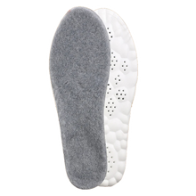 OrtoCloud 4D - Fodrade